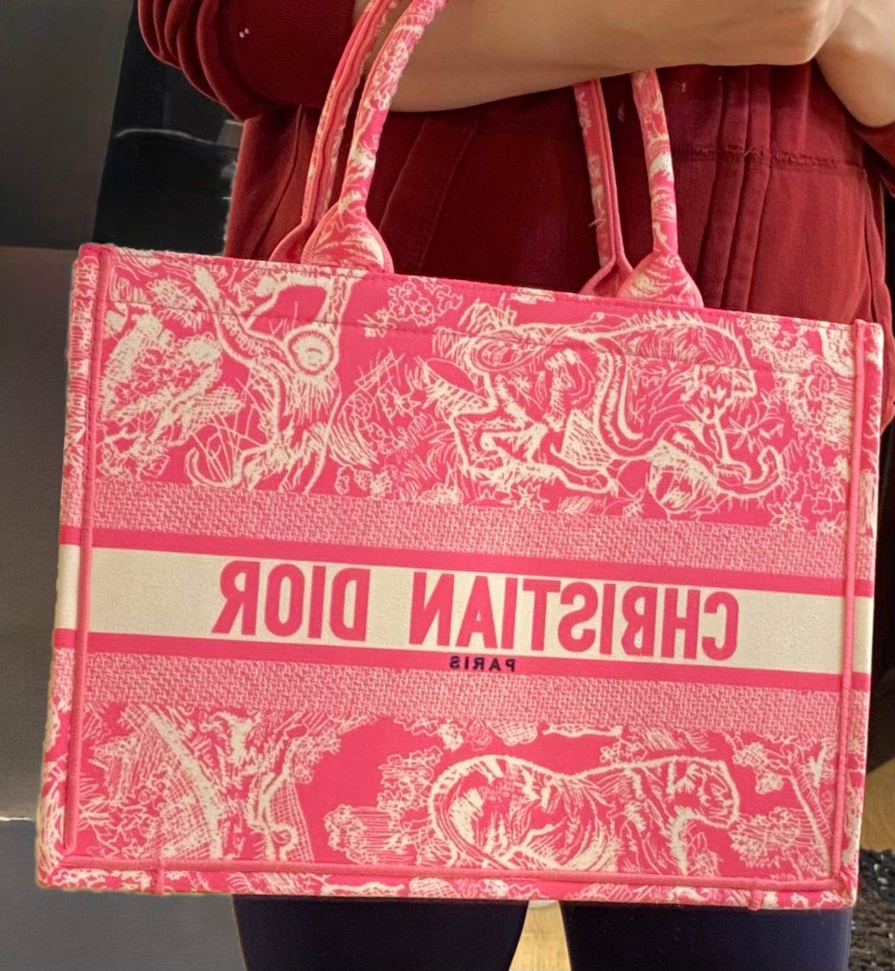 Dior Book Tote