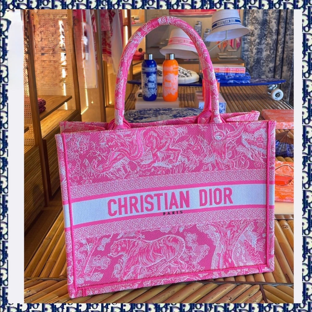 Dior Book Tote